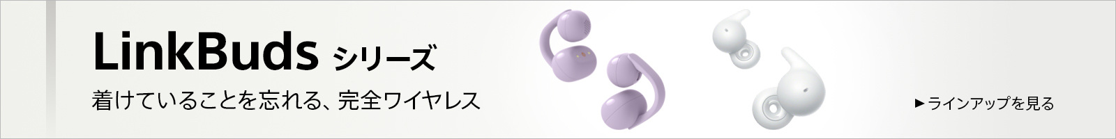 LinkBuds